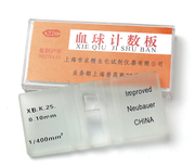 血球计数板