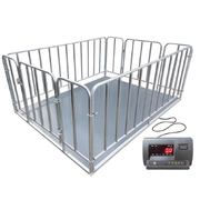 [Y0060210002] Piglet Weighing Platform