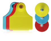 [Y0020050001] Trapezoidal Ear Tag