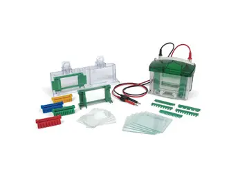 [Y0040020010] Electrophoresis Apparatus