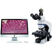 [Y0140060001] Sperm Quality Analysis System