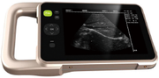 [Y0030010003] Veterinary Ultrasound 
Pregnancy And Lean Detector 
(Electronic Probe)