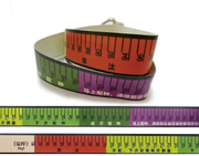 [Y0010060001] Reserve Body Ruler